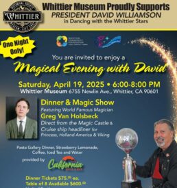 Magical Evening with David Poster